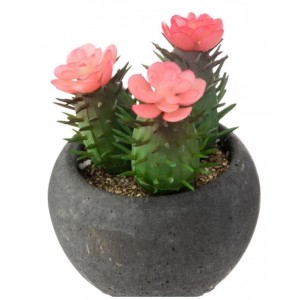 MINI PLANTE ARTIFICIELLE CACTUS HAUTEUR 11.5 CM , POT EN CIMENT ATMOSPHERA ATMOSPHERA - 3