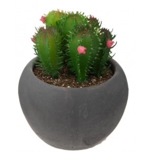 MINI PLANTE ARTIFICIELLE CACTUS HAUTEUR 11.5 CM , POT EN CIMENT ATMOSPHERA ATMOSPHERA - 4