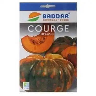 SEMENCES DE COURGE BEJAOUI BADDAR BADDAR - 1
