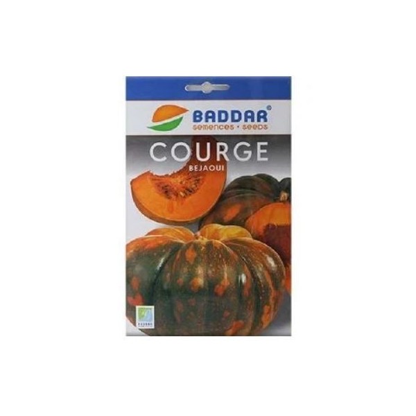 SEMENCES DE COURGE BEJAOUI BADDAR