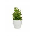 PLANTE ARTIFICIELLE 18CM ,POT EN PLASTIQUE BLANC ATMOSPHERA ATMOSPHERA - 4