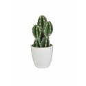 PLANTE ARTIFICIELLE 18CM ,POT EN PLASTIQUE BLANC ATMOSPHERA ATMOSPHERA - 5