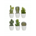 PLANTE ARTIFICIELLE 18CM ,POT EN PLASTIQUE BLANC ATMOSPHERA ATMOSPHERA - 6