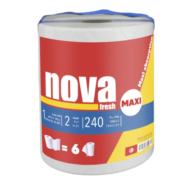 ESSUIE-TOUT MAXI 240 FEUILLES BLANC NOVAFRECH