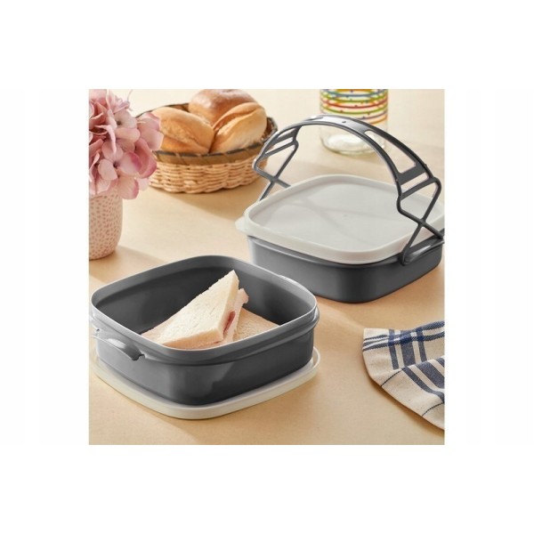 BOITE À REPAS TETRA À 2 ÉTAGES EN PLASTIQUE