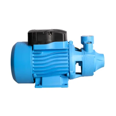 POMPE PÉRIPHÉRIQUE 750W 1CV FIXTEC FIXTEC - 2