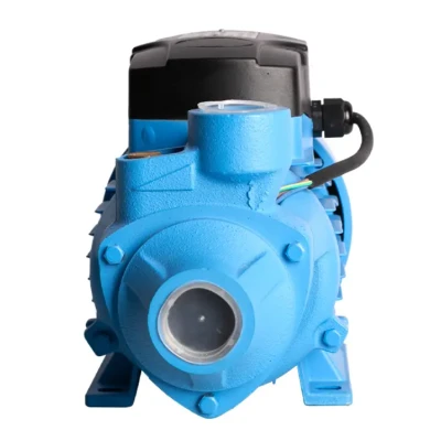 POMPE PÉRIPHÉRIQUE 750W 1CV FIXTEC FIXTEC - 3