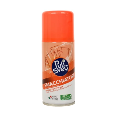 NETTOYANT À SEC EN SPRAY 150ML PULI SVELT - 1