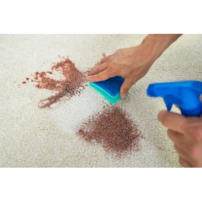 NETTOYANT ANTI-TÂCHE POUR TAPIS 750ML ASTONISH ASTONISH - 2