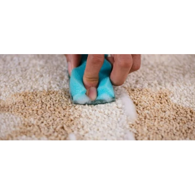 NETTOYANT ANTI-TÂCHE POUR TAPIS 750ML ASTONISH ASTONISH - 3