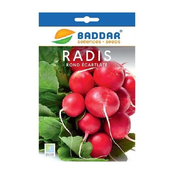 SEMENCES RADIS ROND ÉCARLATE BADDAR