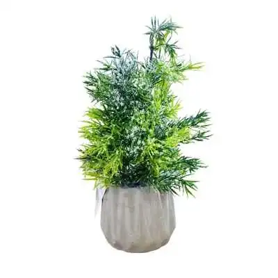 PLANTE ARTIFICIELLE DÉCORATIVE HAUTEUR 30CM, POT EN CIMENT - 1