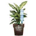 ARROSEUR GOUTTE À GOUTTE AQUAFLORA GFGARDEN GF - 7