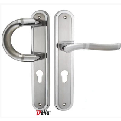 POIGNÉE DE PORTE D'ENTRÉE GAUCHE 66G55-85 DELIA DELIA - 1