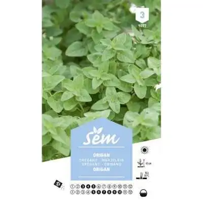 SEMENCES D'ORIGAN 3G SEM - 1