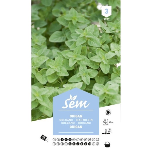 SEMENCES D'ORIGAN 3G SEM