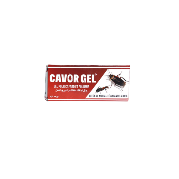 GEL ANTI CAFARDS ET FOURMIS SERINGUE 35G COTCHIM