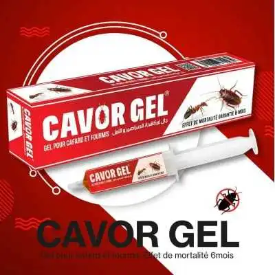 GEL ANTI CAFARDS ET FOURMIS SERINGUE 35G COTCHIM  - 3