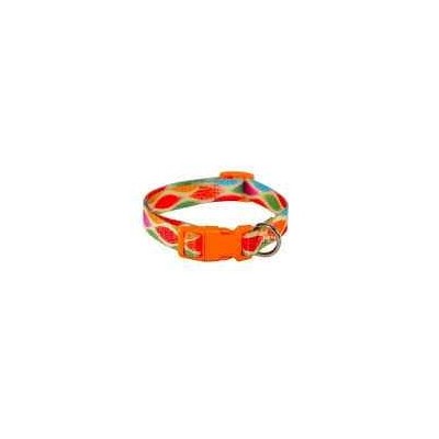 COLLIER DE CHIEN 1CM AVEC MOTIF FELICAN FELICAN - 3