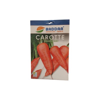 SEMENCES CAROTTE CHANTENAY BADDAR  - 1