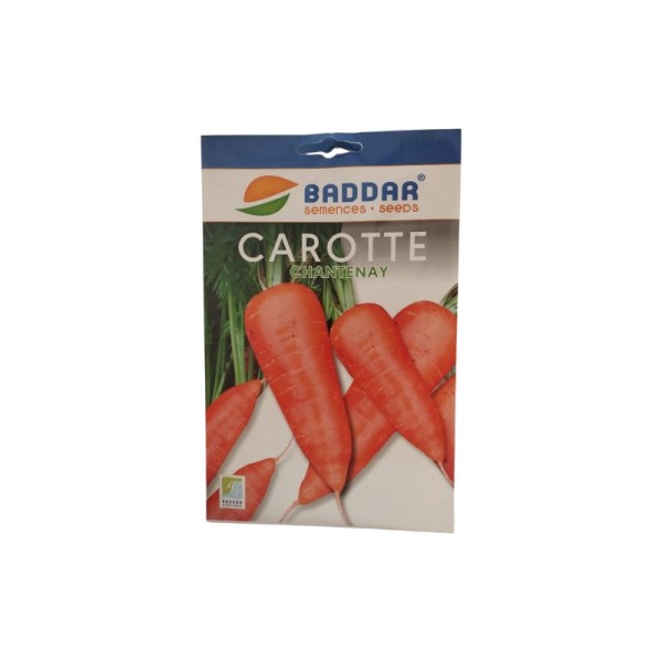 SEMENCES CAROTTE CHANTENAY BADDAR