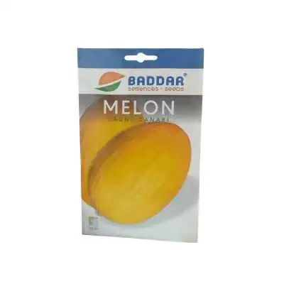 SEMENCES MELON JAUNE CANARI BADDAR - 1
