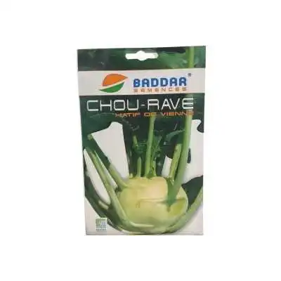 SEMENCES CHOU-RAVE HÂTIF DE VIENNE BADDAR BADDAR - 1 SEMENCES CHOU-RAVE HÂTIF DE VIENNE BADDAR BADDAR - 1