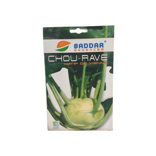 SEMENCES CHOU-RAVE HÂTIF DE VIENNE BADDAR