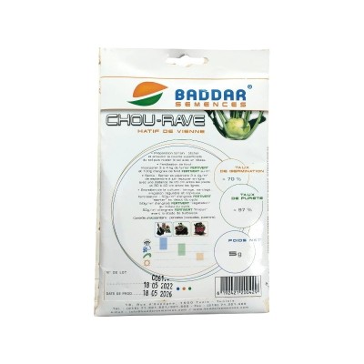 SEMENCES CHOU-RAVE HÂTIF DE VIENNE BADDAR BADDAR - 2 SEMENCES CHOU-RAVE HÂTIF DE VIENNE BADDAR BADDAR - 2