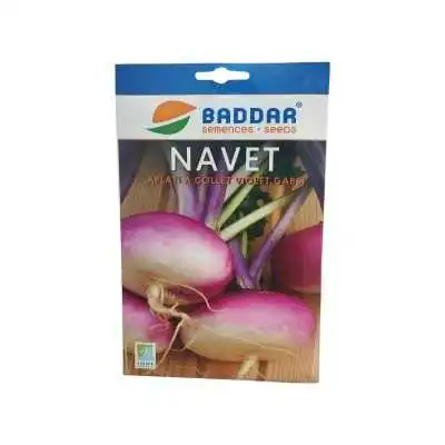 SEMENCES DE NAVET VIOLET GABSI 5G BADDAR BADDAR - 1
