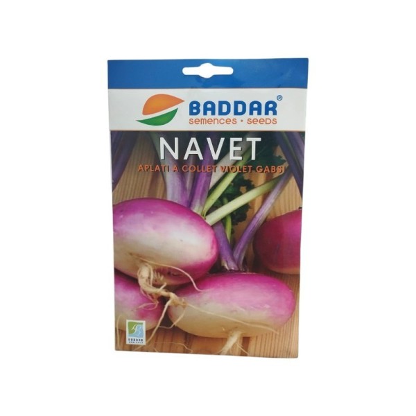 SEMENCES DE NAVET VIOLET GABSI 5G BADDAR