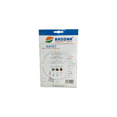 SEMENCES DE NAVET VIOLET GABSI 5G BADDAR BADDAR - 2