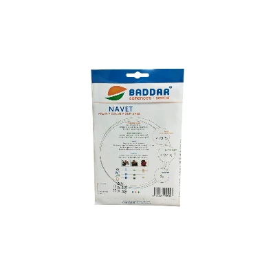 SEMENCES DE NAVET VIOLET GABSI 5G BADDAR BADDAR - 2