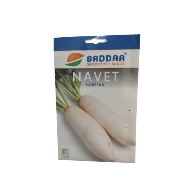 SEMENCES DE NAVE MARTEAU 5G BADDAR