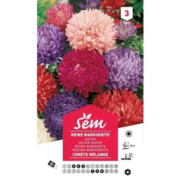 SEMENCES REINE MARGUERITE COMÈTE