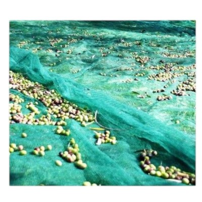 FILET DE RÉCOLTE DES OLIVES 3*6M - 6 FILET DE RÉCOLTE DES OLIVES 3*6M - 6