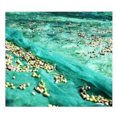 FILET DE RÉCOLTE DES OLIVES 3*6M - 6