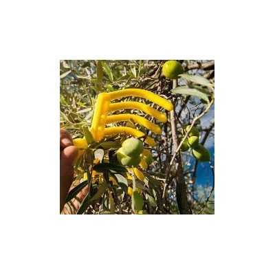 RÂTEAU À OLIVE 9 DENTS SMTP - 3 RÂTEAU À OLIVE 9 DENTS SMTP - 3