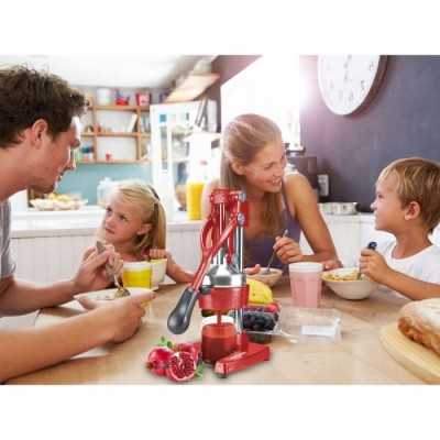 PRESSE GRENADE ET AGRUMES