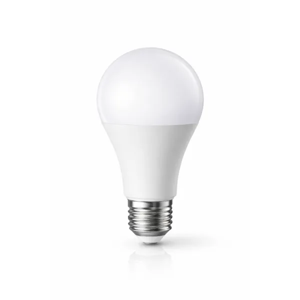 LAMPE LED STANDARD 12W E27 8000K AT LIGHTING