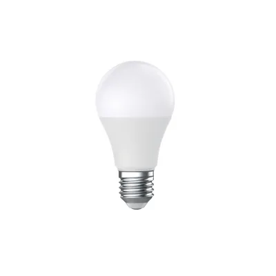 LAMPE LED STANDARD 15W