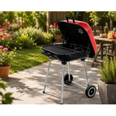 BARBECUE À CHARBON