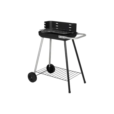 BARBECUE À CHARBON
