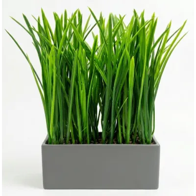 PLANTE ARTIFICIELLE