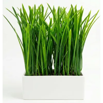 PLANTE ARTIFICIELLE