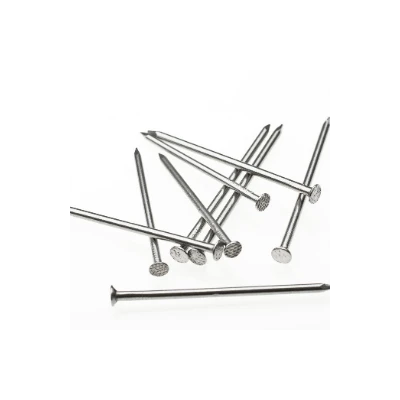 CLOU TETE PLATE 60MM BRICOLA BRICOLA - 1