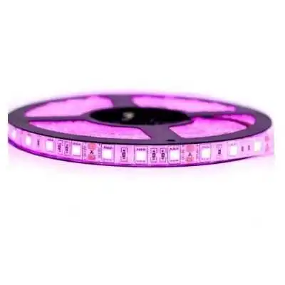 RUBAN 5050/60 LED 12V ROSE 5 MÈTRES EKOLED EKOLED - 1