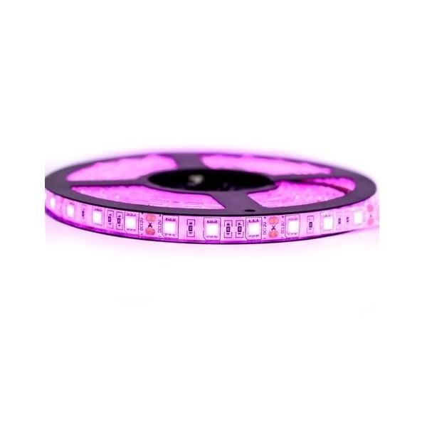 RUBAN 5050/60LED  12V ROSE 5 METRES EKOLED