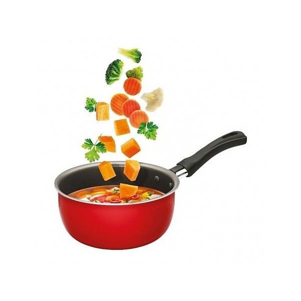 CASSEROLE Ø 14CM TASTY WINOX