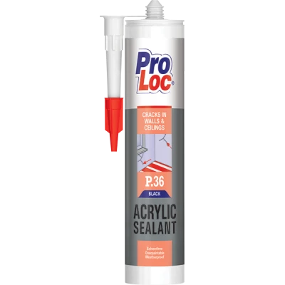MASTIC ACRYLIQUE BLANC P.36 PROLOC PROLOC - 1